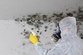 Best Air Quality Testing for Mold Spores  in North Caldwell, NJ